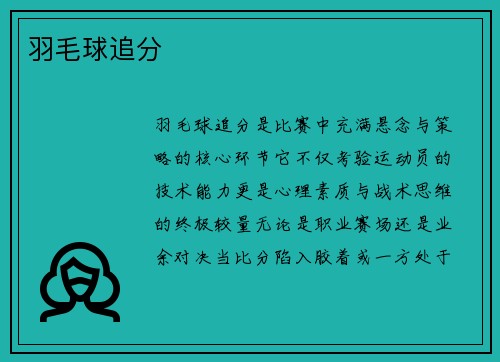 羽毛球追分